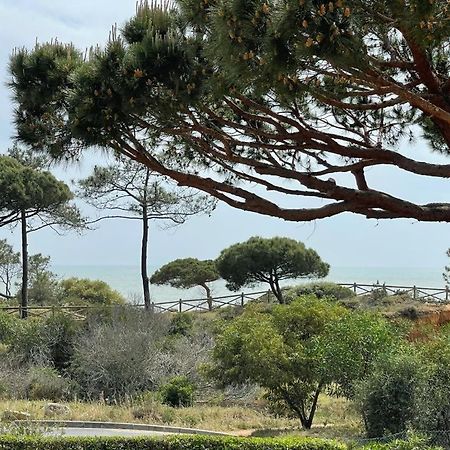 Praia Da Falesia Alfa Mar Albufeira 올류스 데 아구아 외부 사진