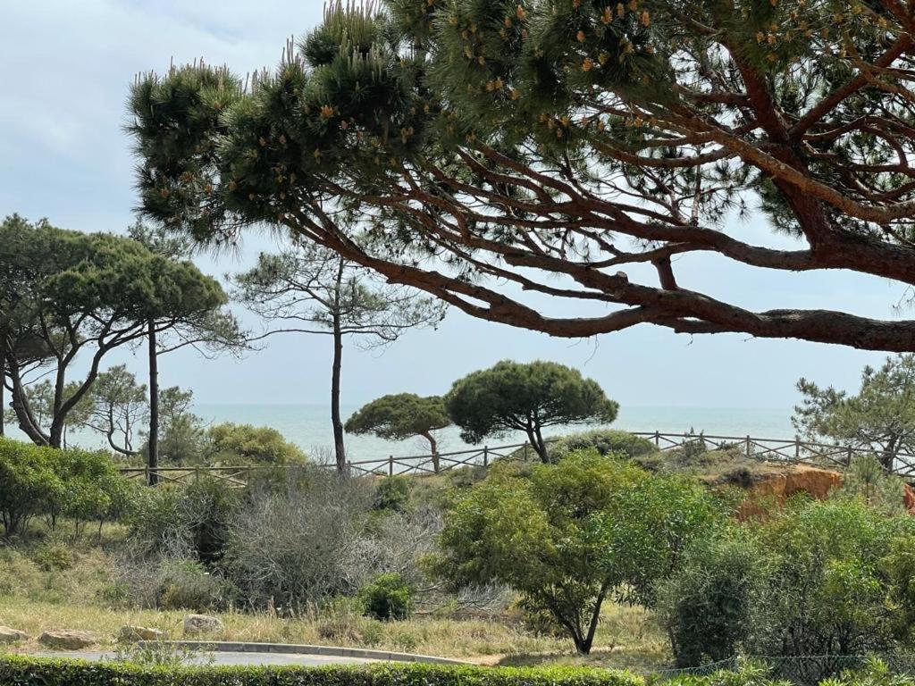 Praia Da Falesia Alfa Mar Albufeira 올류스 데 아구아 외부 사진