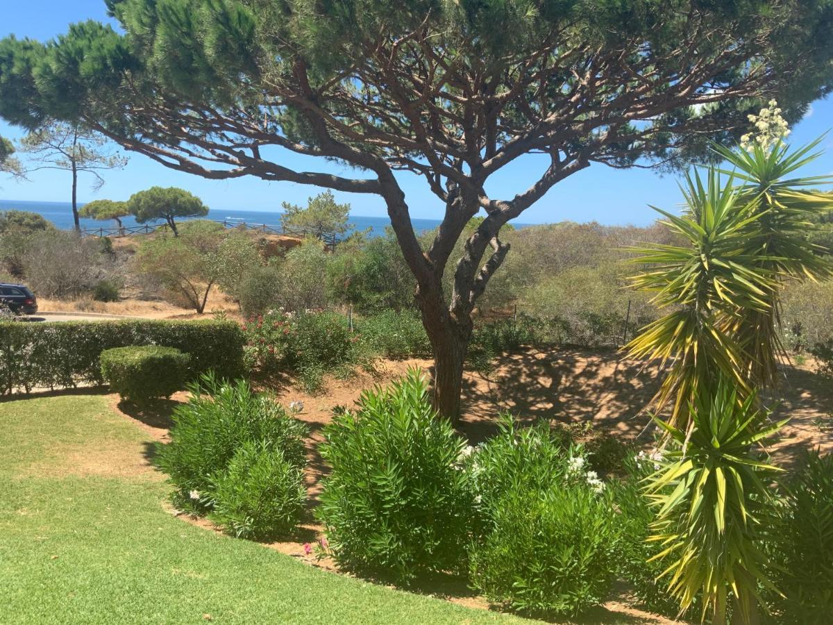 Praia Da Falesia Alfa Mar Albufeira 올류스 데 아구아 외부 사진